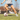 A soccer player makes a move while wearing the Vero Ankle® brace.